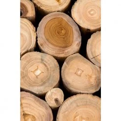 Hansell Natural Teak Accent Table by East At Main -Shabby Chic Shop brown east at main end side tables tt ntr rt105 nt 4f 1000