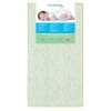 Little Butterflies 6 Inch 2 in 1 Green Foam Core Crib and Toddler Bed Mattress by Dream On Me